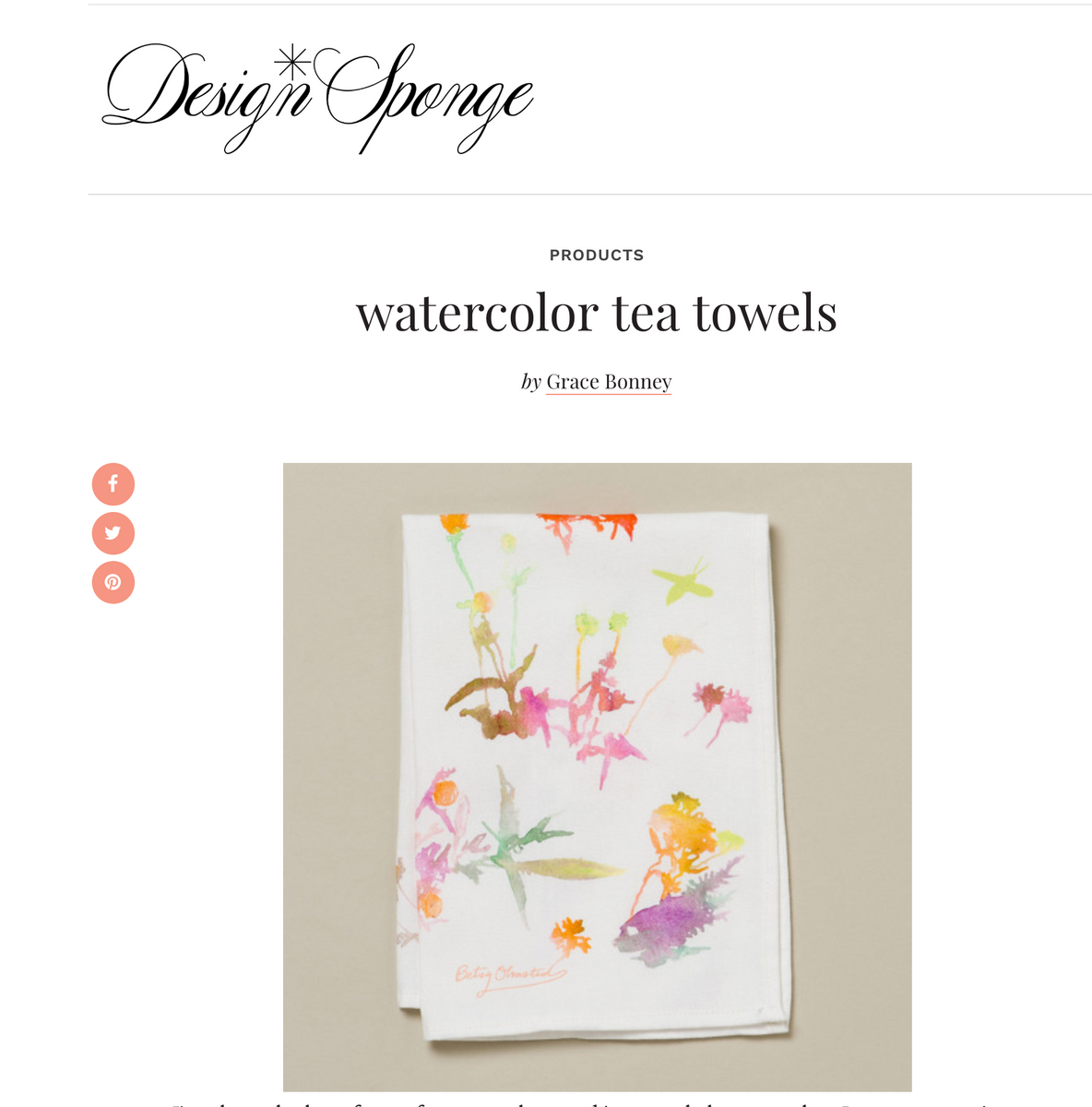 Design Sponge Blog 2012 Betsy Olmsted